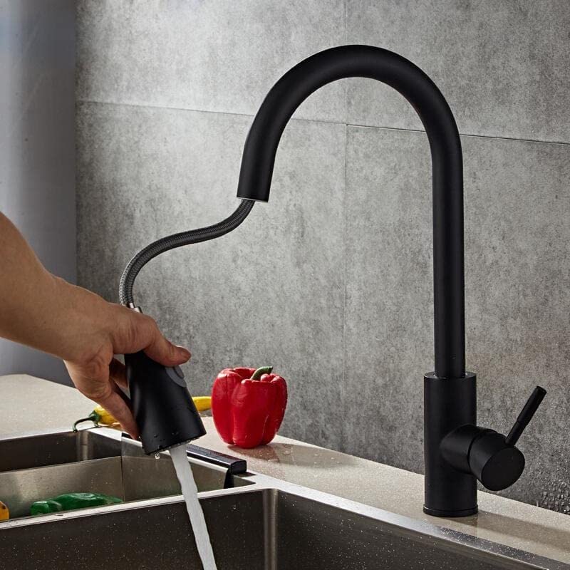 RITZYA Pullout Kitchen Basin Mixer Tap ( Matte Finish )