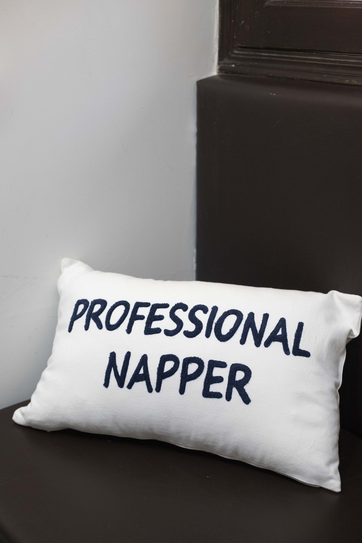 Professional napper cover